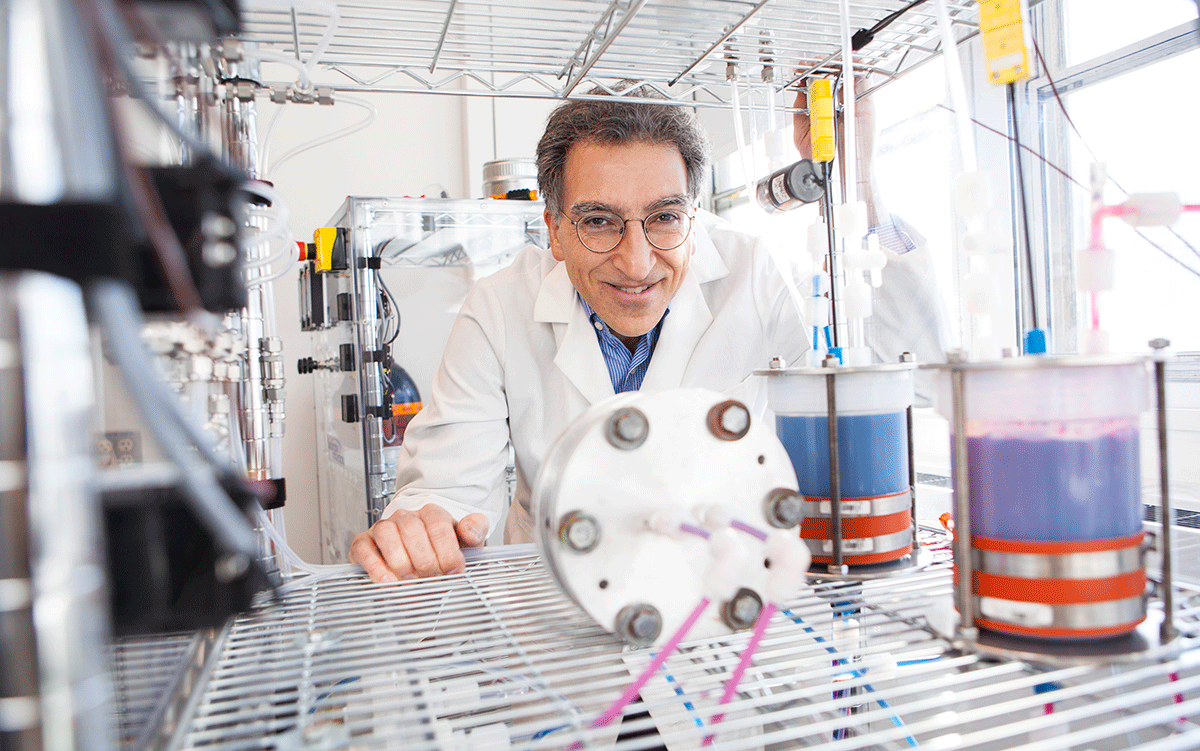 Michael J. Aziz (pictured) and others at Harvard University have developed a metal-free flow battery that relies on the electrochemistry of naturally abundant, small organic molecules to store electricity generated from renewable, intermittent energy sources. (Photo by Eliza Grinnell, SEAS Communications.)