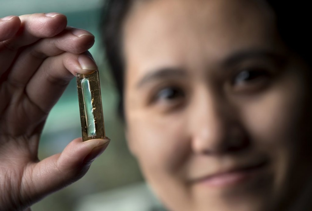 UCI chemist Reginald Penner and doctoral candidate Mya Le Thai (shown) have developed a nanowire-based technology that allows lithium-ion batteries to be recharged hundreds of thousands of times. Steve Zylius / UCI