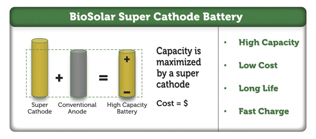 BioSolar 1